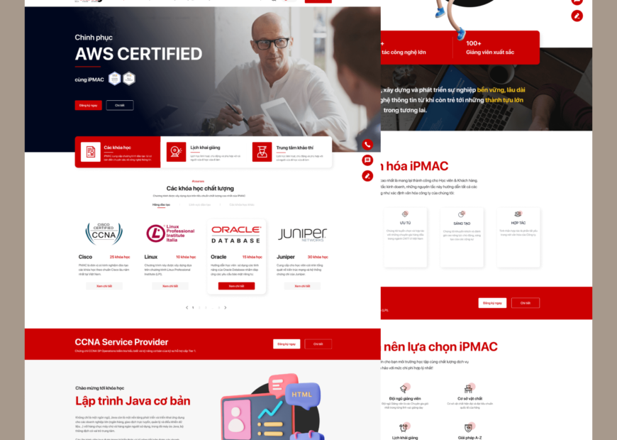 iPMAC Website Capi Agency